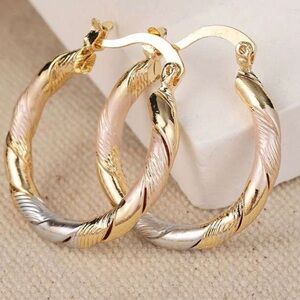 Fashion Jewelry Tri-Color Twisted Hoop Earrings - Gold, Rose & Silver